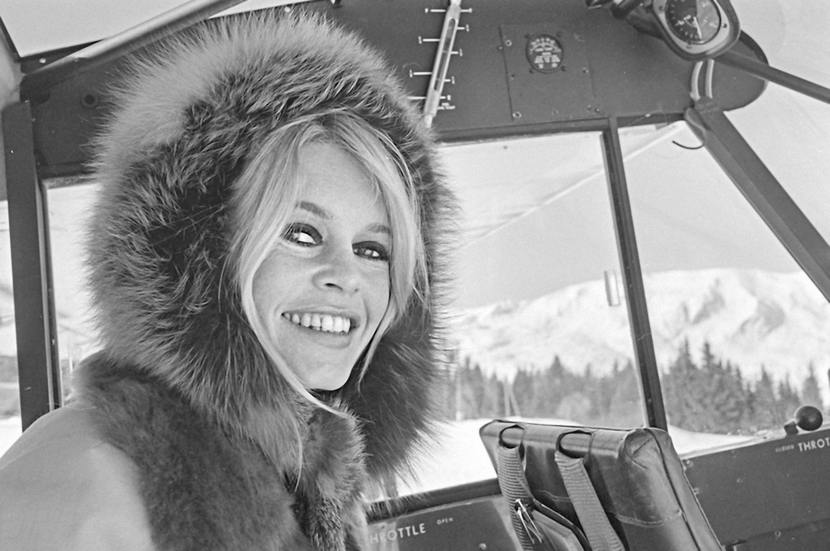Brigitte Bardot Brigitte Bardot