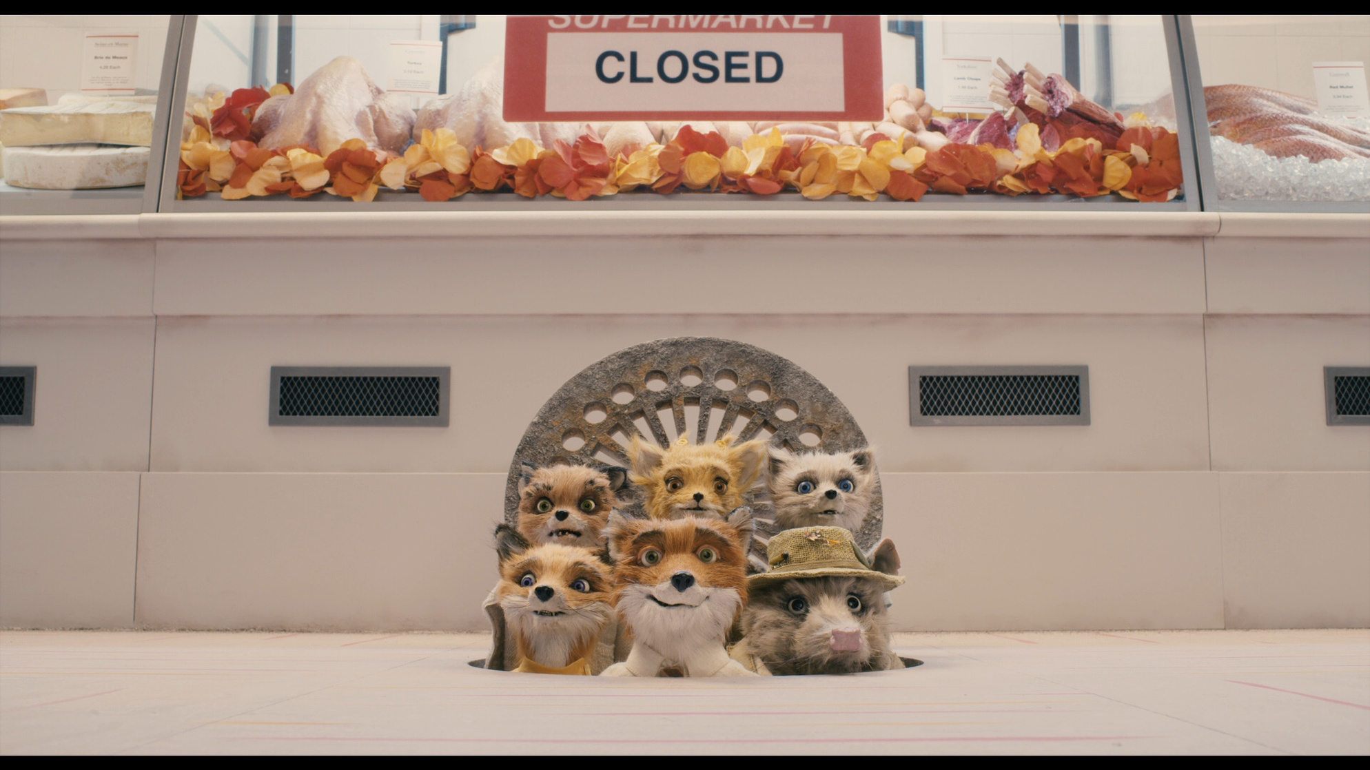 Fantastic Mr. Fox (2009) Fantastic Mr. Fox (2009)