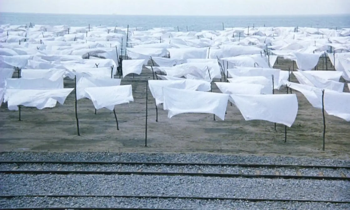 The Weeping Meadow