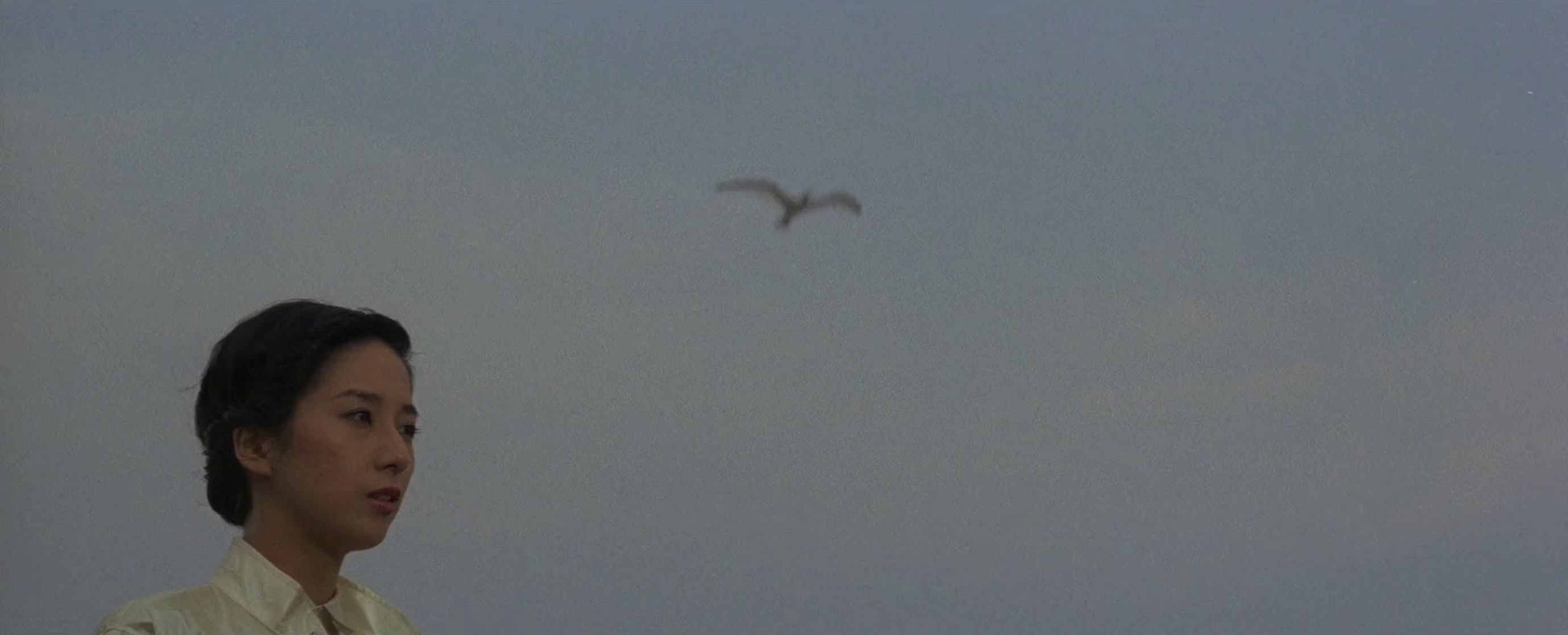 Eighteen Years, to the Sea Eighteen Years, to the Sea
