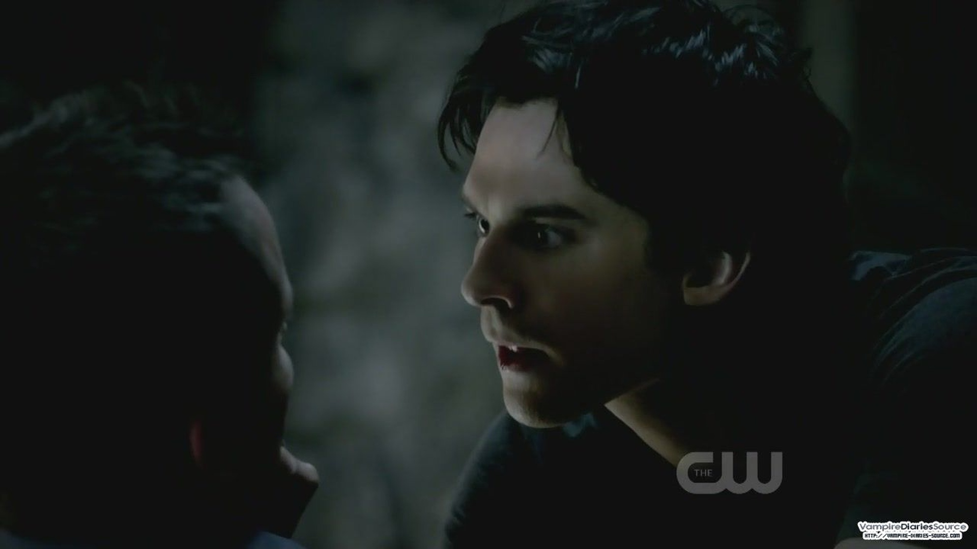 The Vampire Diaries The Vampire Diaries