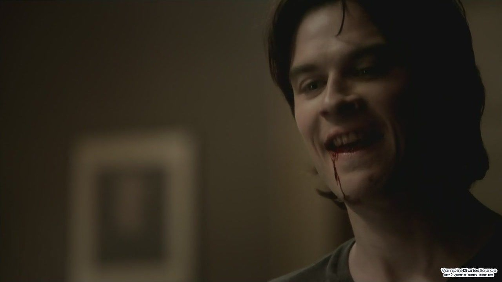 The Vampire Diaries The Vampire Diaries