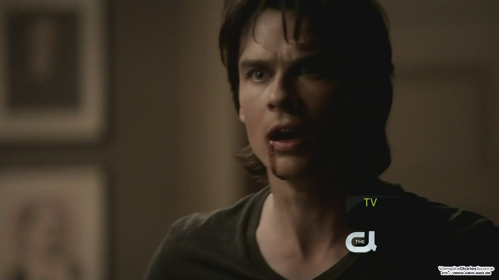The Vampire Diaries The Vampire Diaries