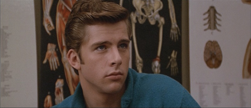 Grease 2