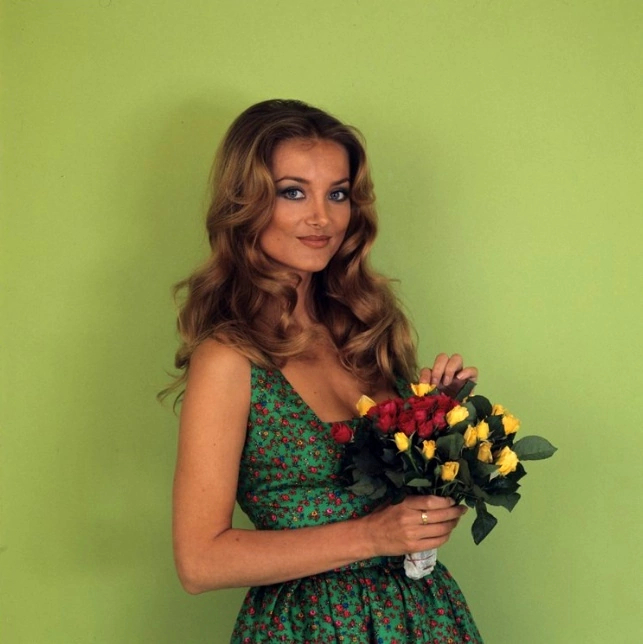 Picture of Barbara Bouchet