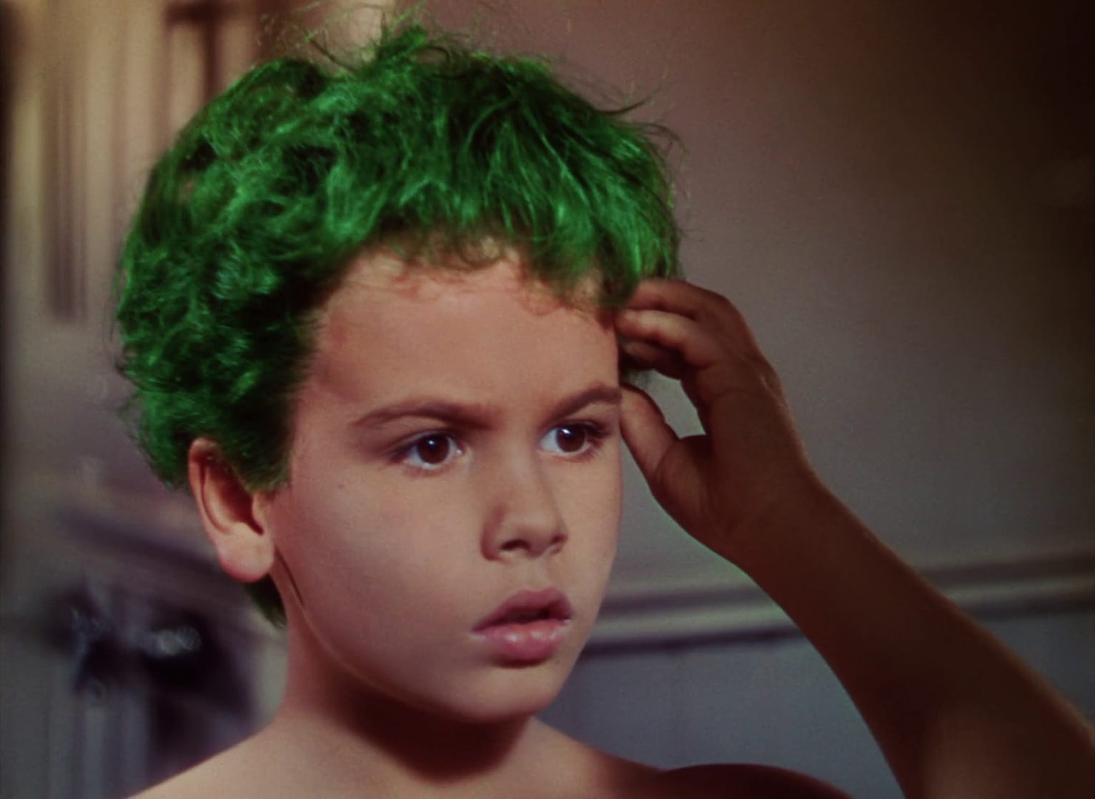The Boy with Green Hair The Boy with Green Hair