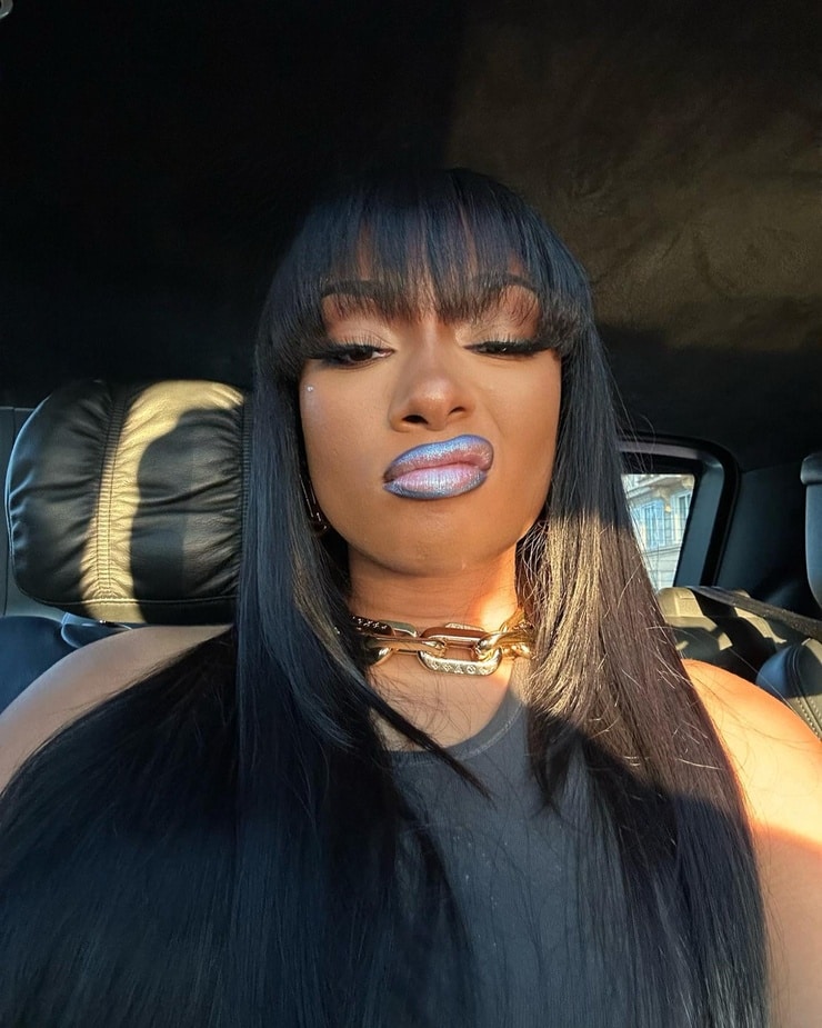 Picture of Megan Thee Stallion