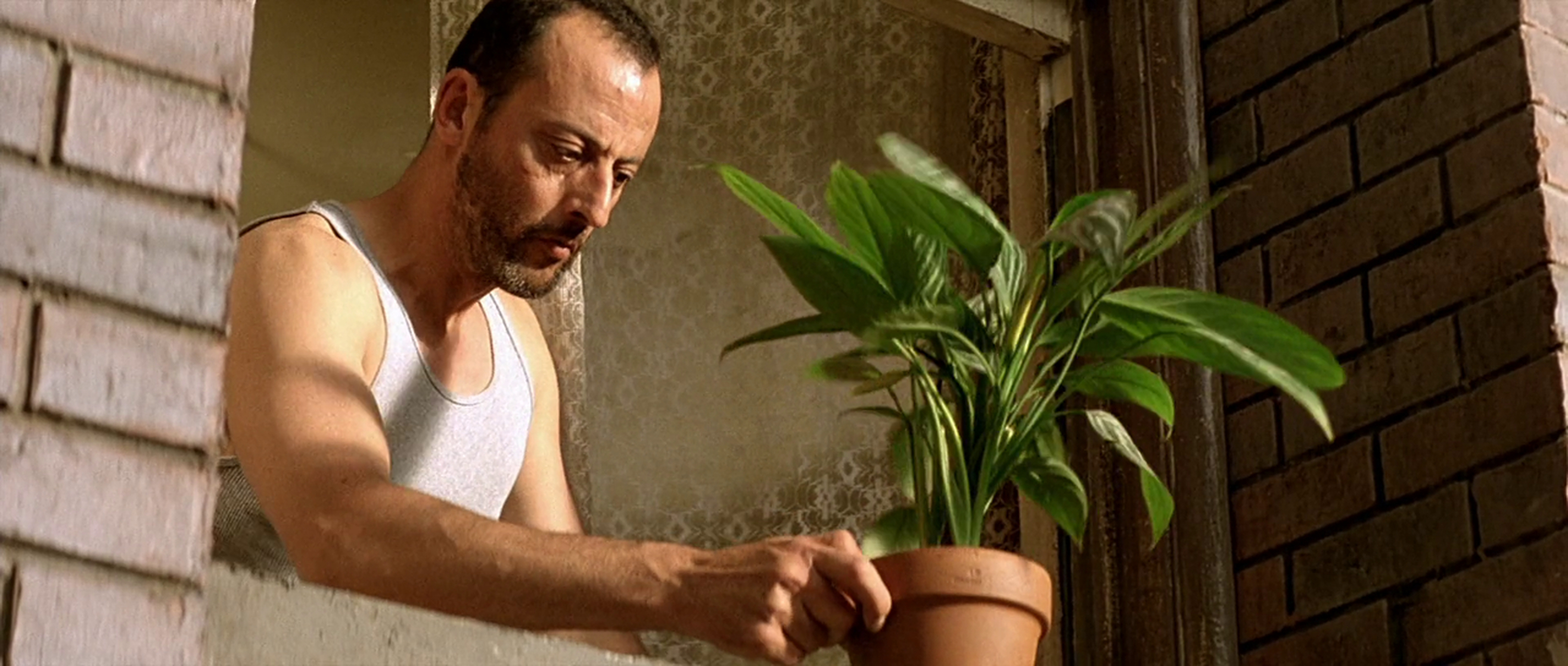 Léon: The Professional