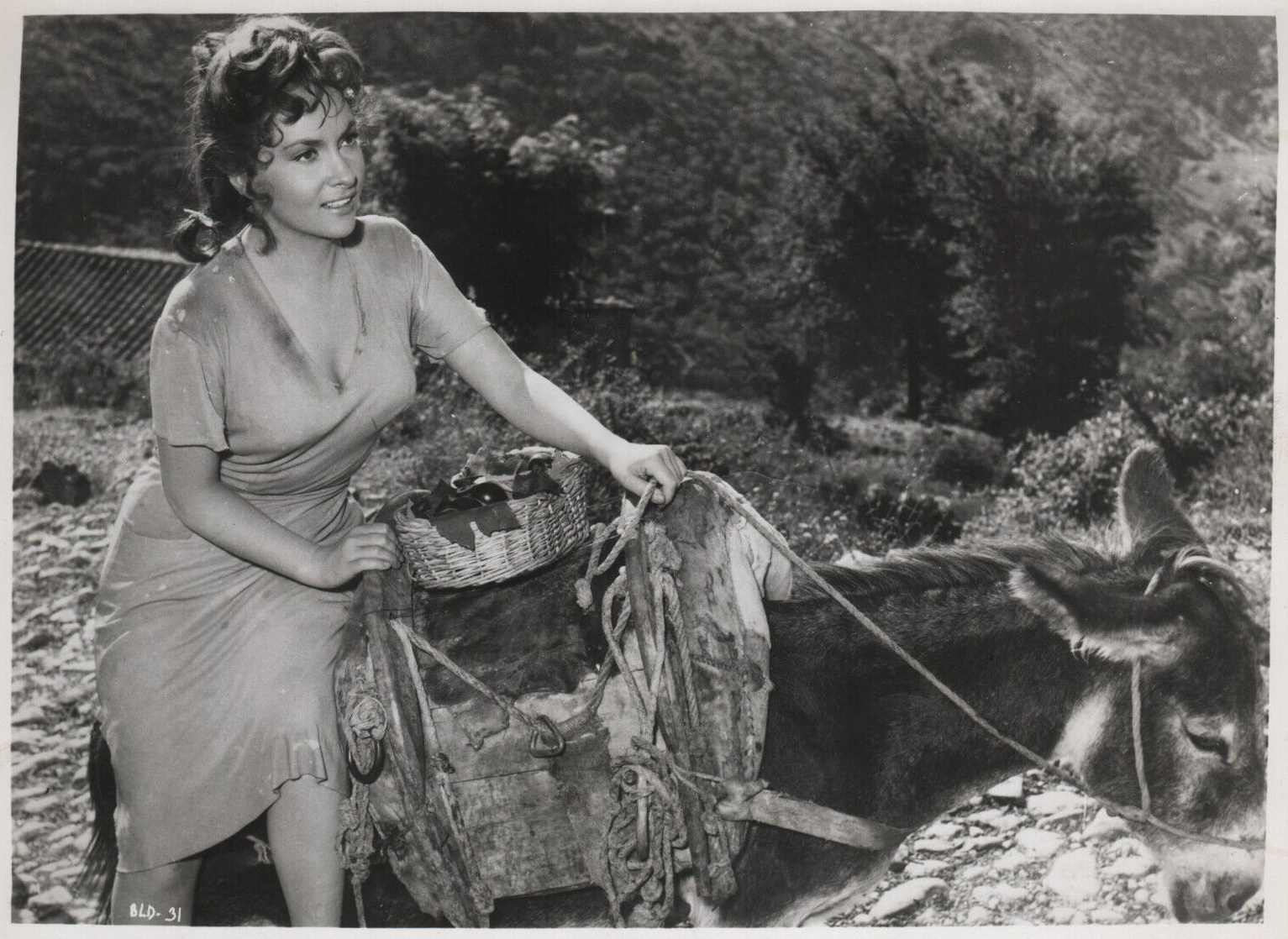 Bread, Love and Dreams (1953)