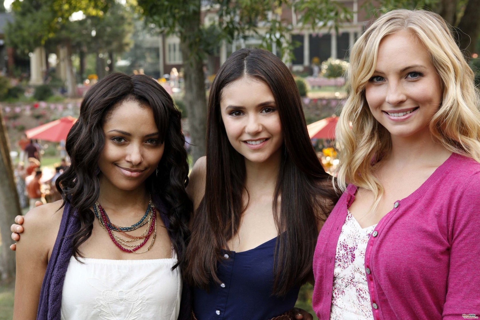 The Vampire Diaries The Vampire Diaries