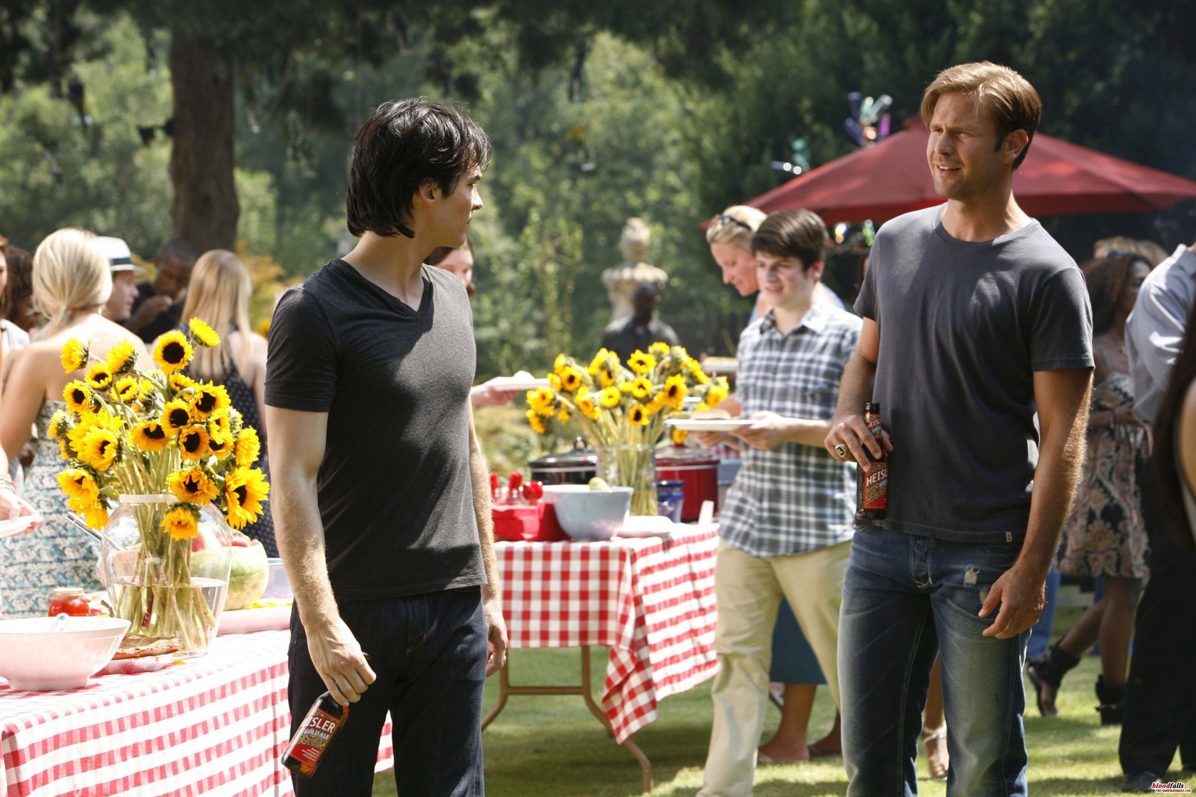 The Vampire Diaries The Vampire Diaries