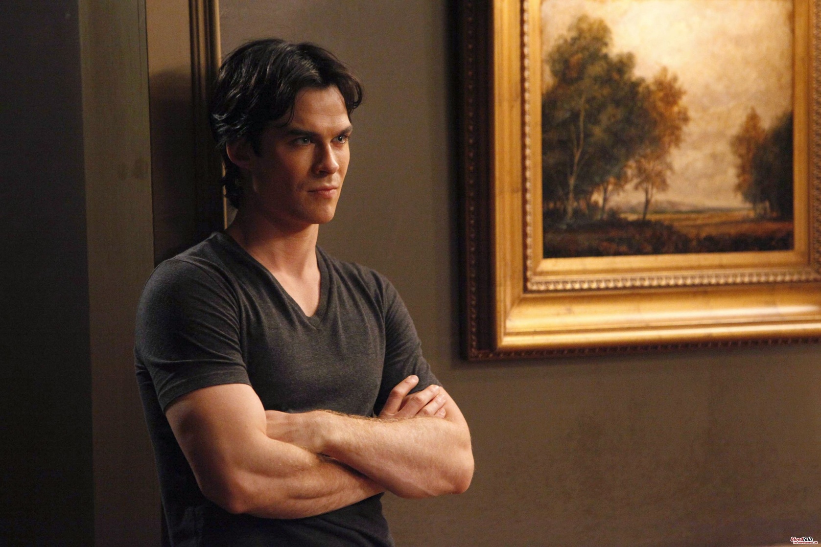 The Vampire Diaries