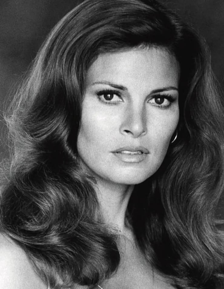 Picture of Raquel Welch