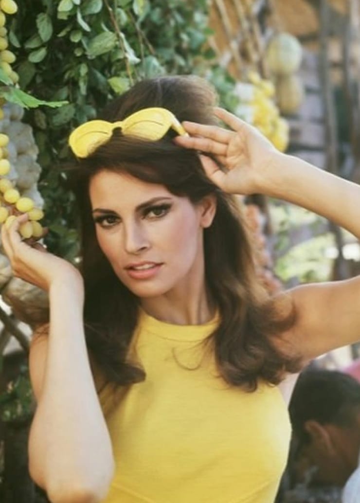 Picture of Raquel Welch