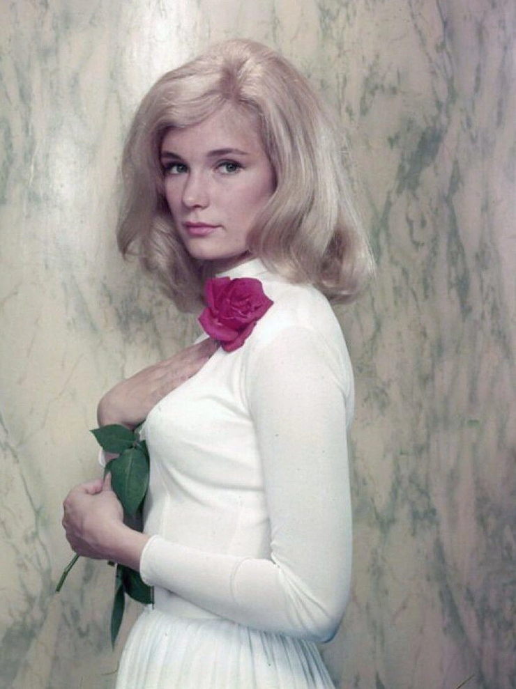 Picture of Yvette Mimieux