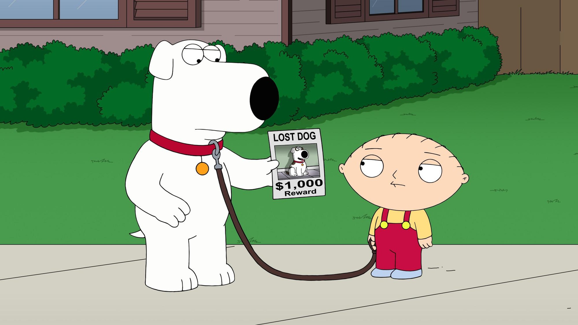 Family Guy