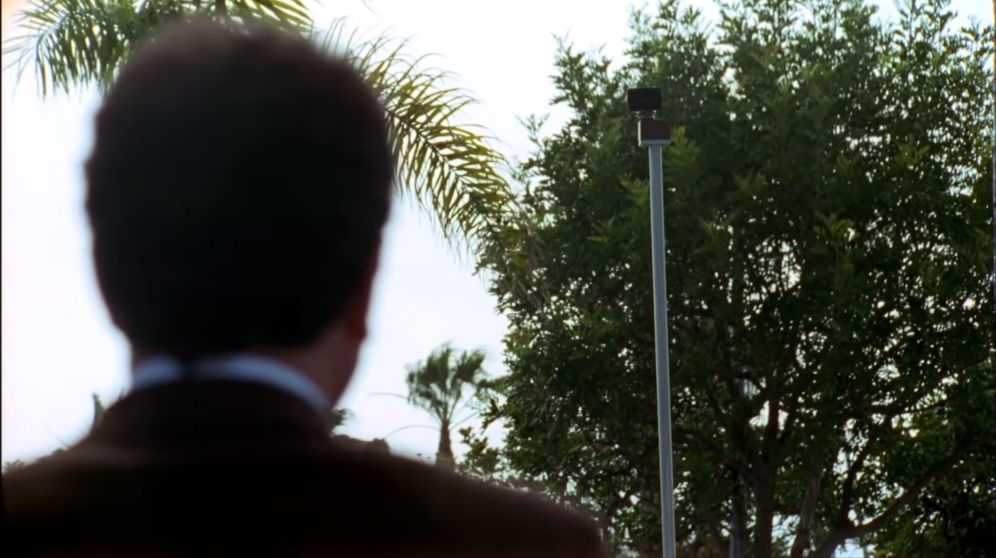 Mr. Monk, Private Eye