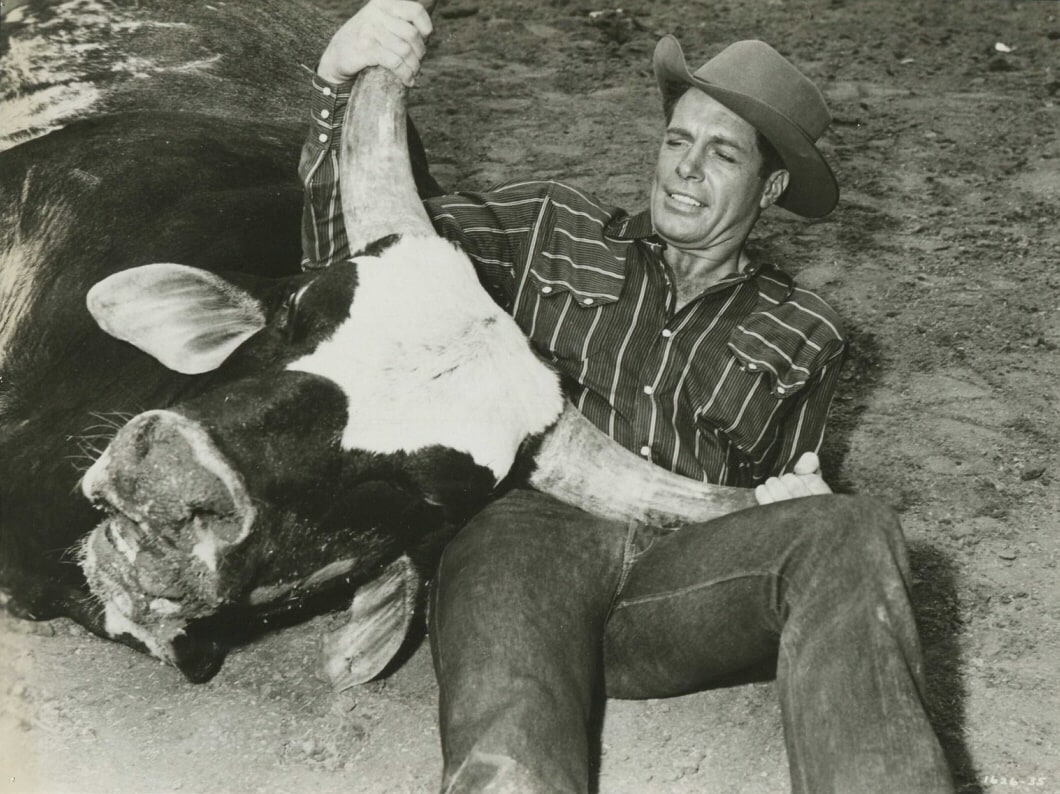 Robert Horton Robert Horton