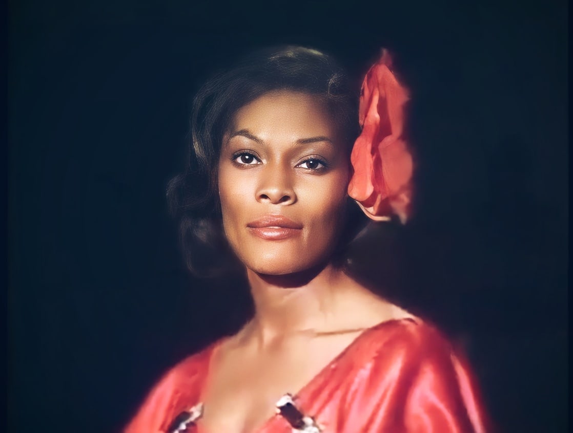 Picture of Dionne Warwick