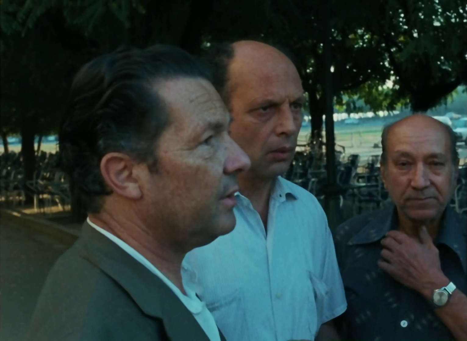 Shoah (1985)