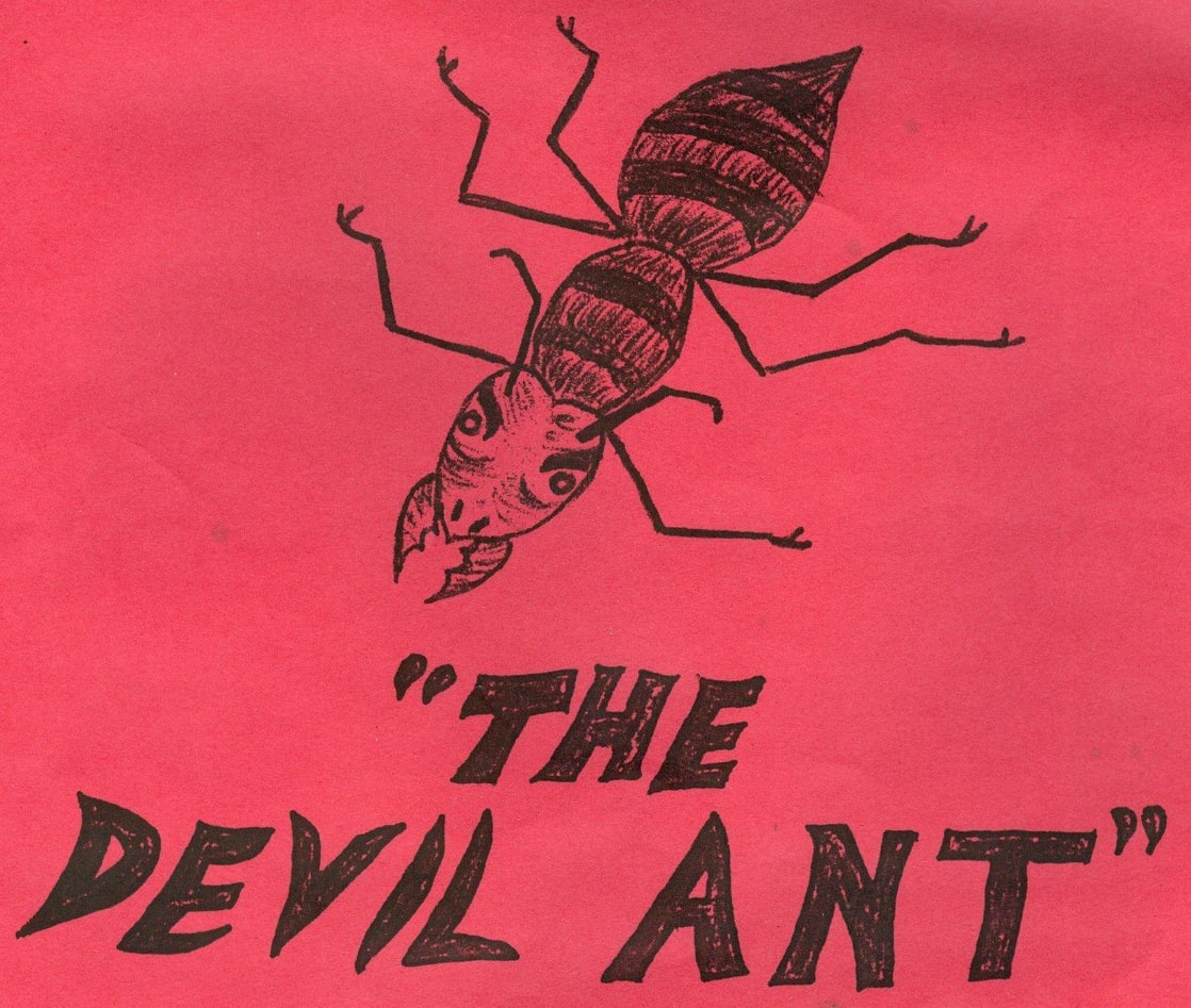 The Devil Ant