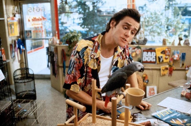 ace ventura pet detective ending