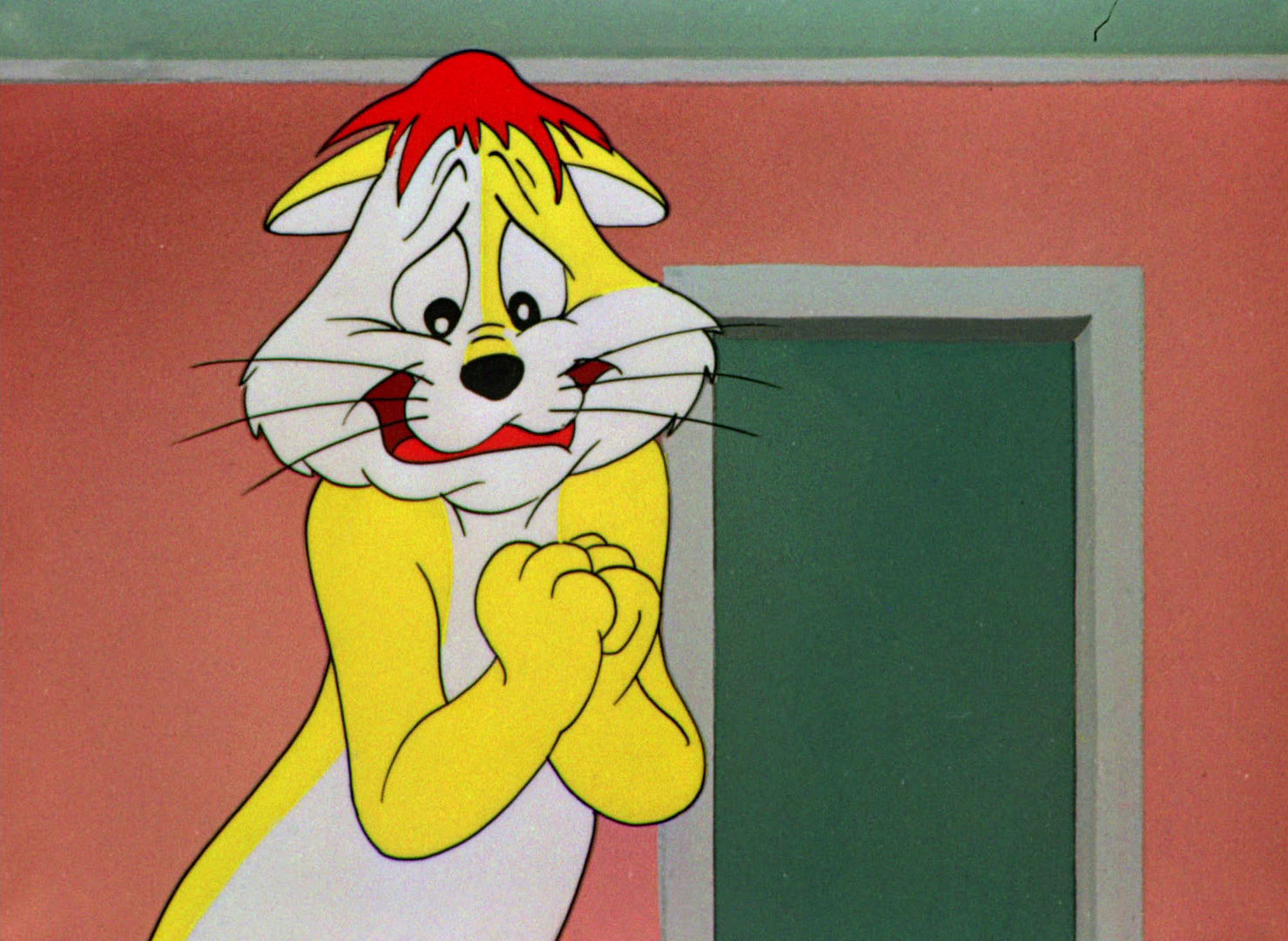 The Hypo-Chondri-Cat
