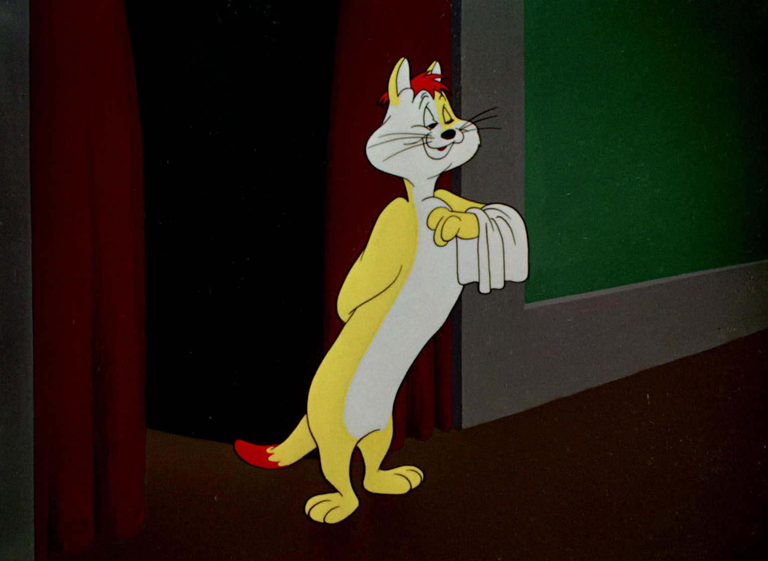 The Hypo-Chondri-Cat