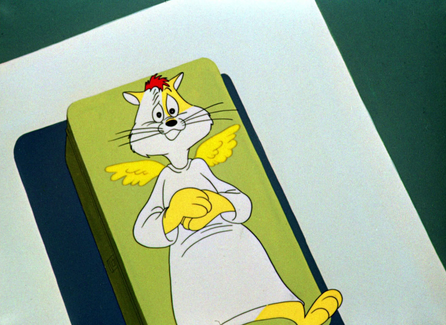 The Hypo-Chondri-Cat
