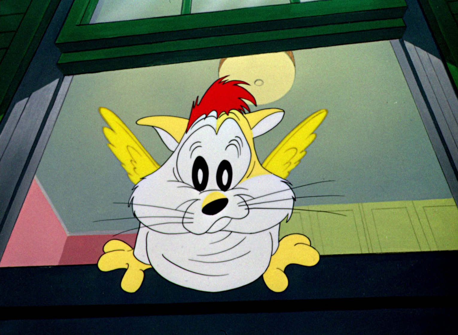 The Hypo-Chondri-Cat