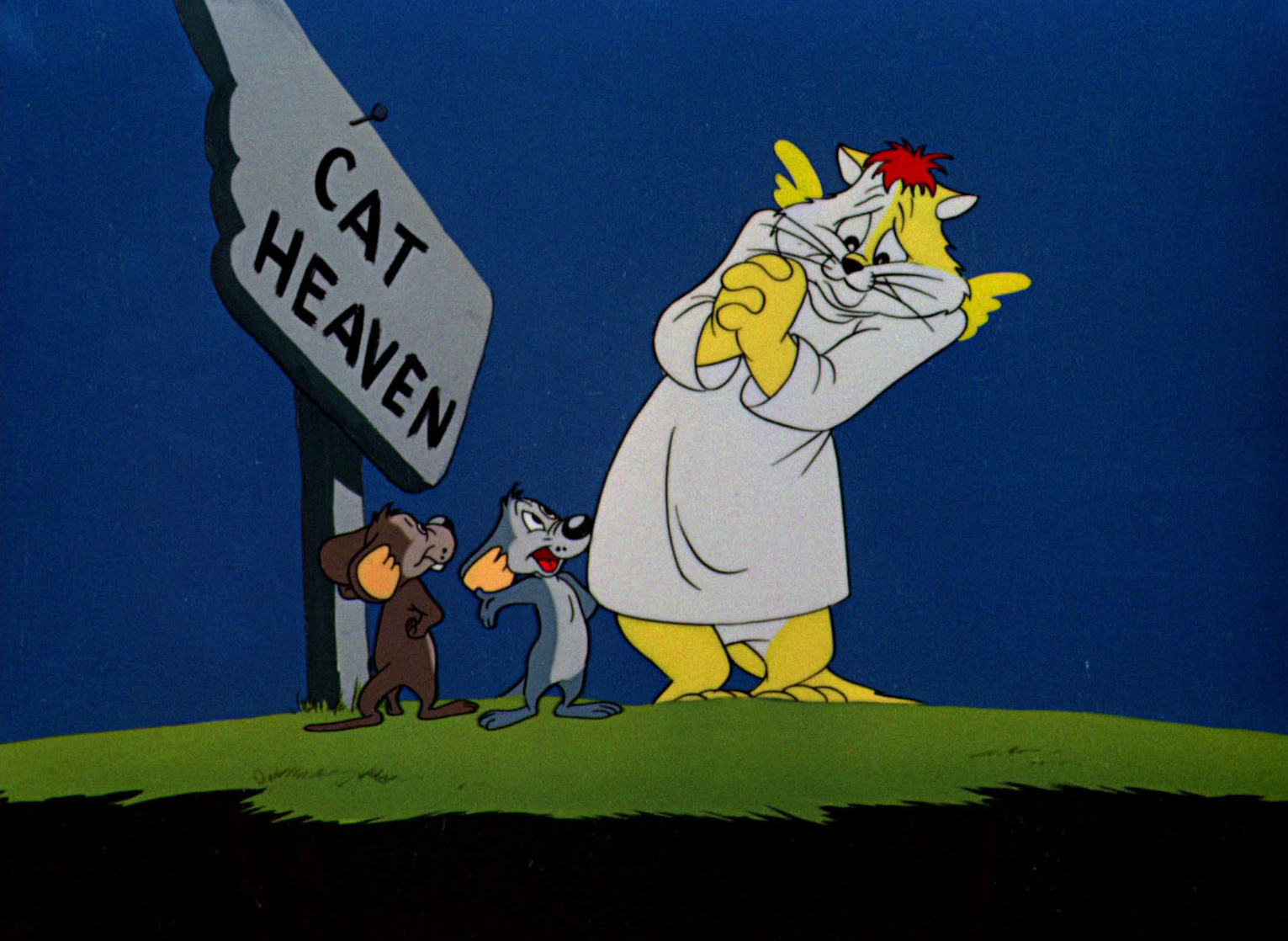 The Hypo-Chondri-Cat