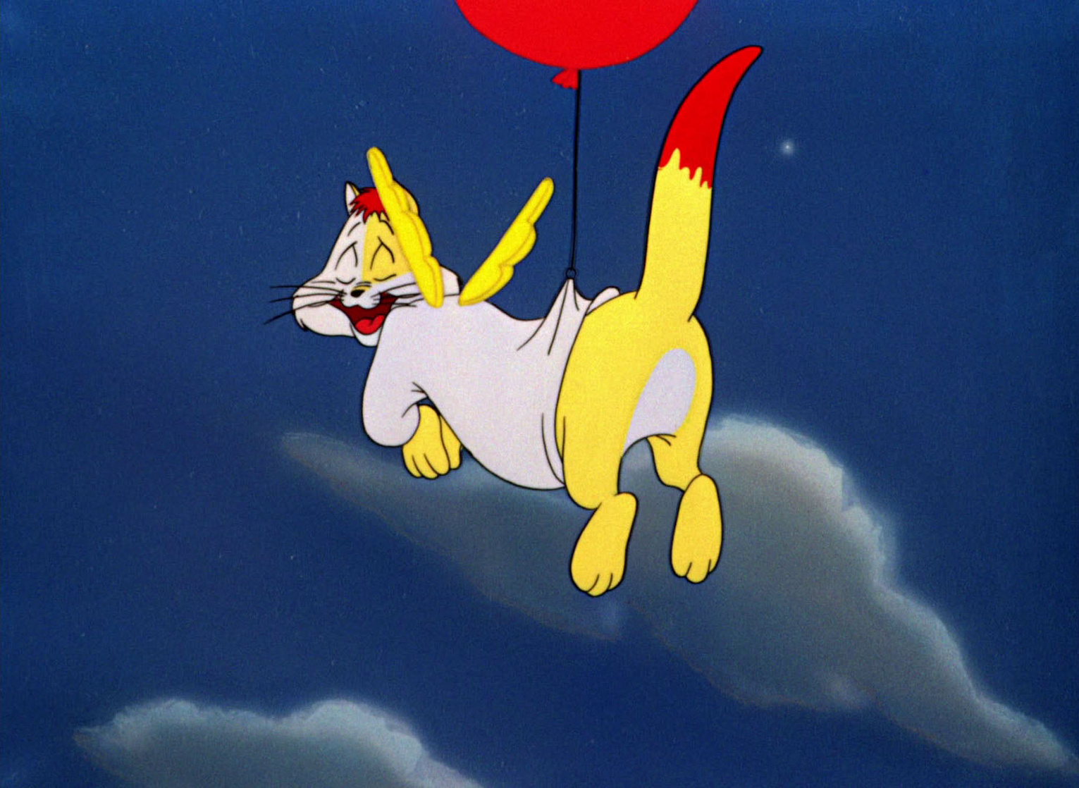 The Hypo-Chondri-Cat