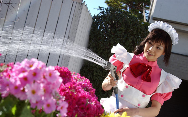 Akane Hotaru