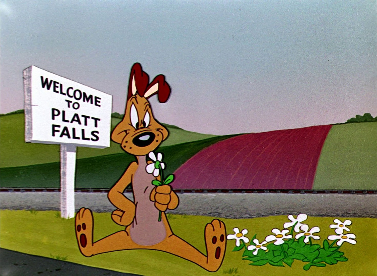 Dog Gone South