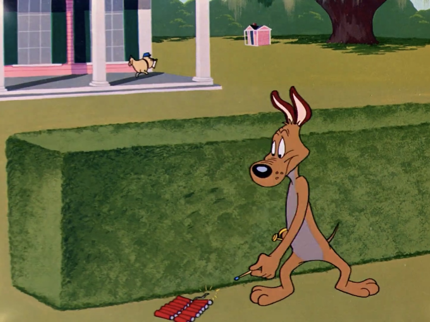 Dog Gone South