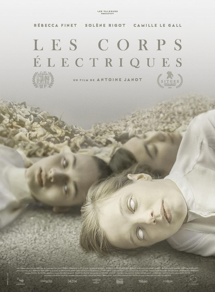 Picture of Electric bodies (2021)