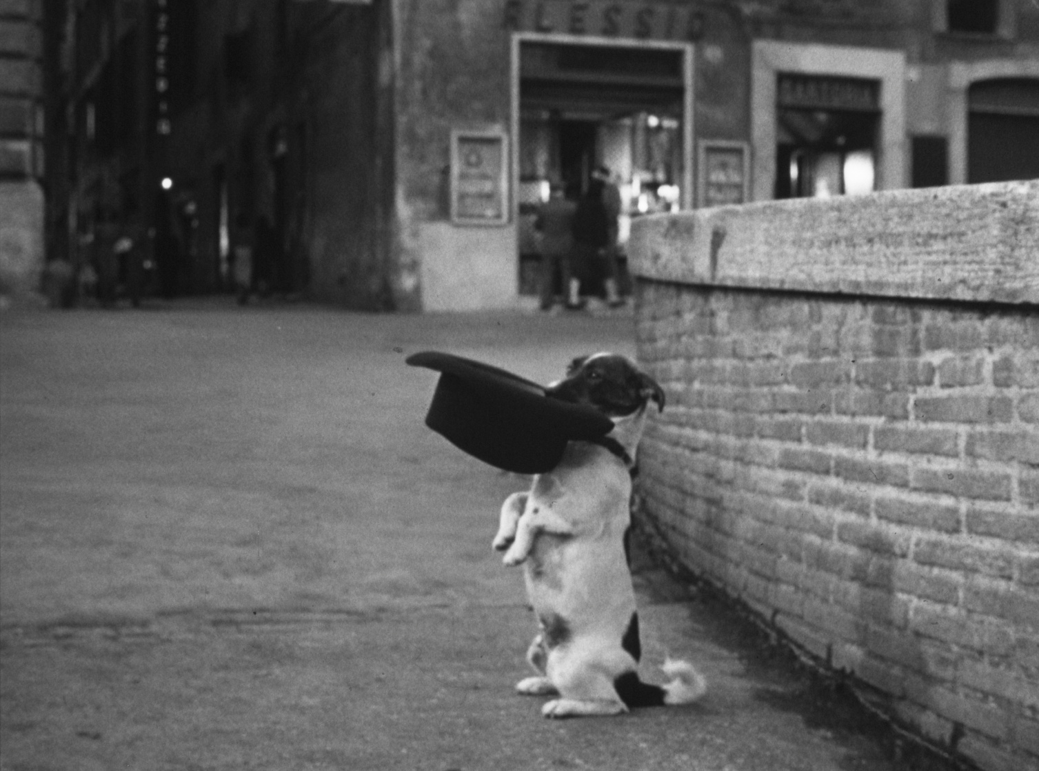 Umberto D. (1952)