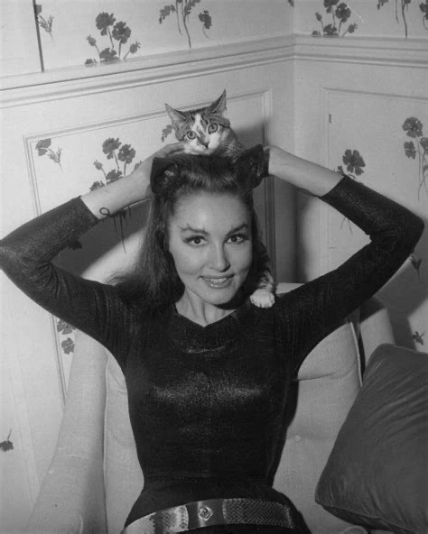 Picture of Julie Newmar