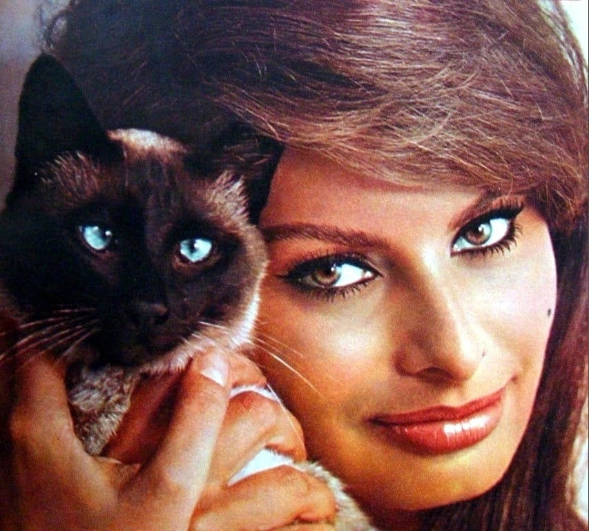Sophia Loren Sophia Loren