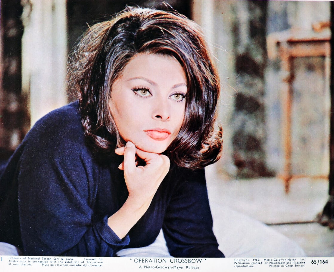 Sophia Loren