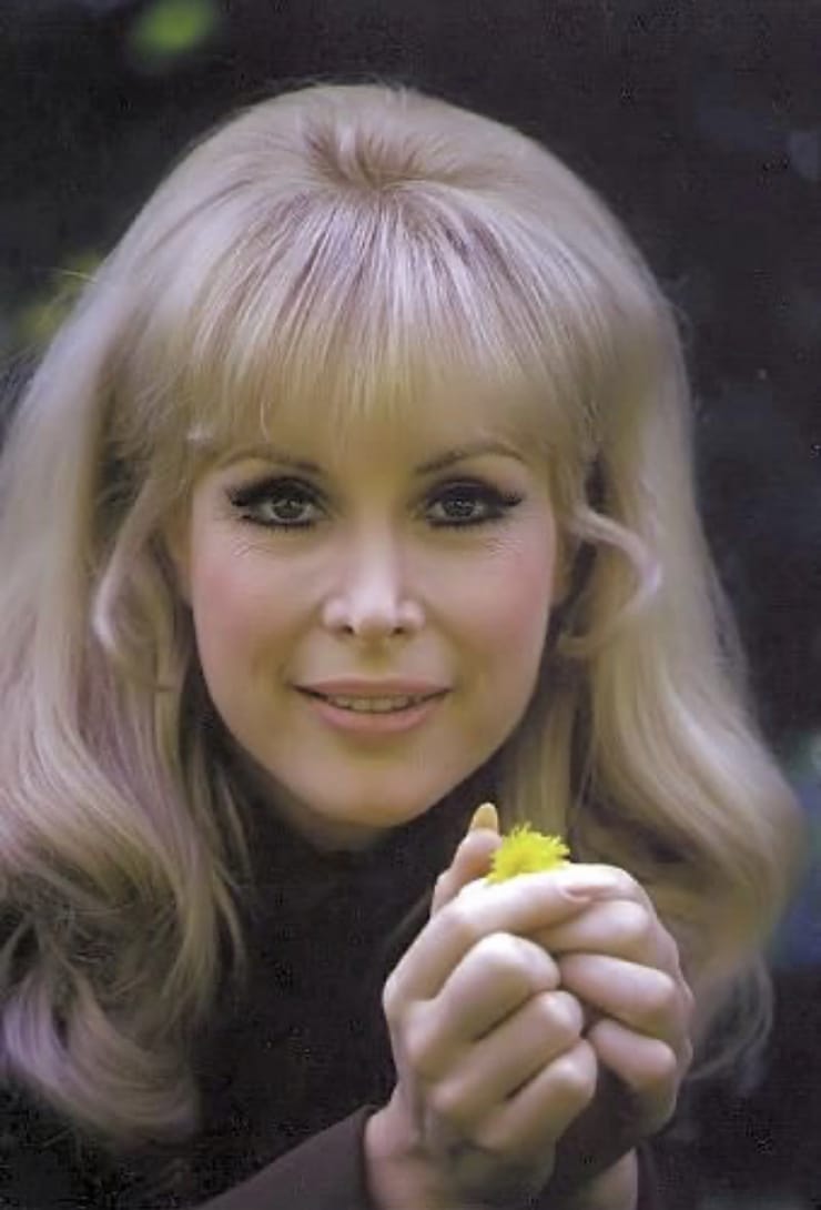 Barbara Eden image