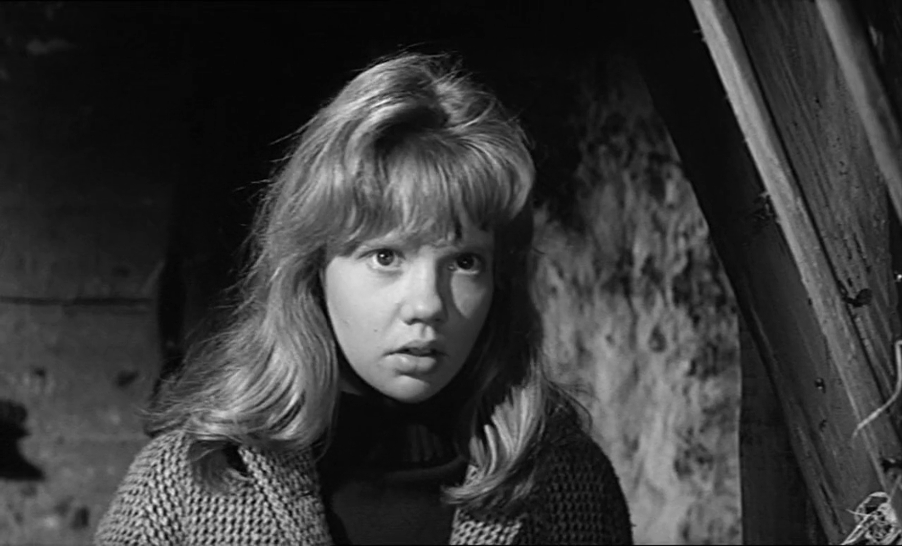 Image of Whistle Down the Wind