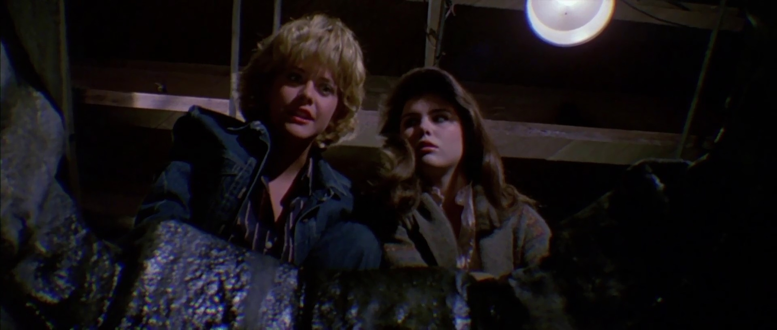 Amityville 3-D