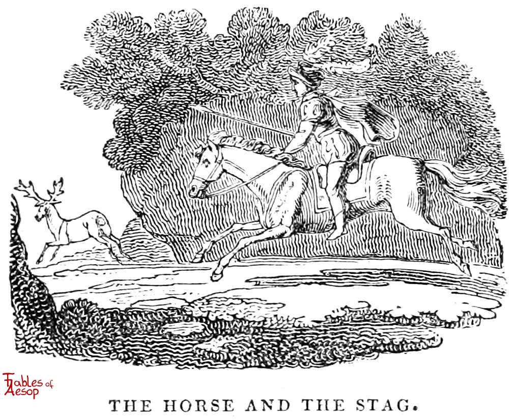 The Horse and The Stag