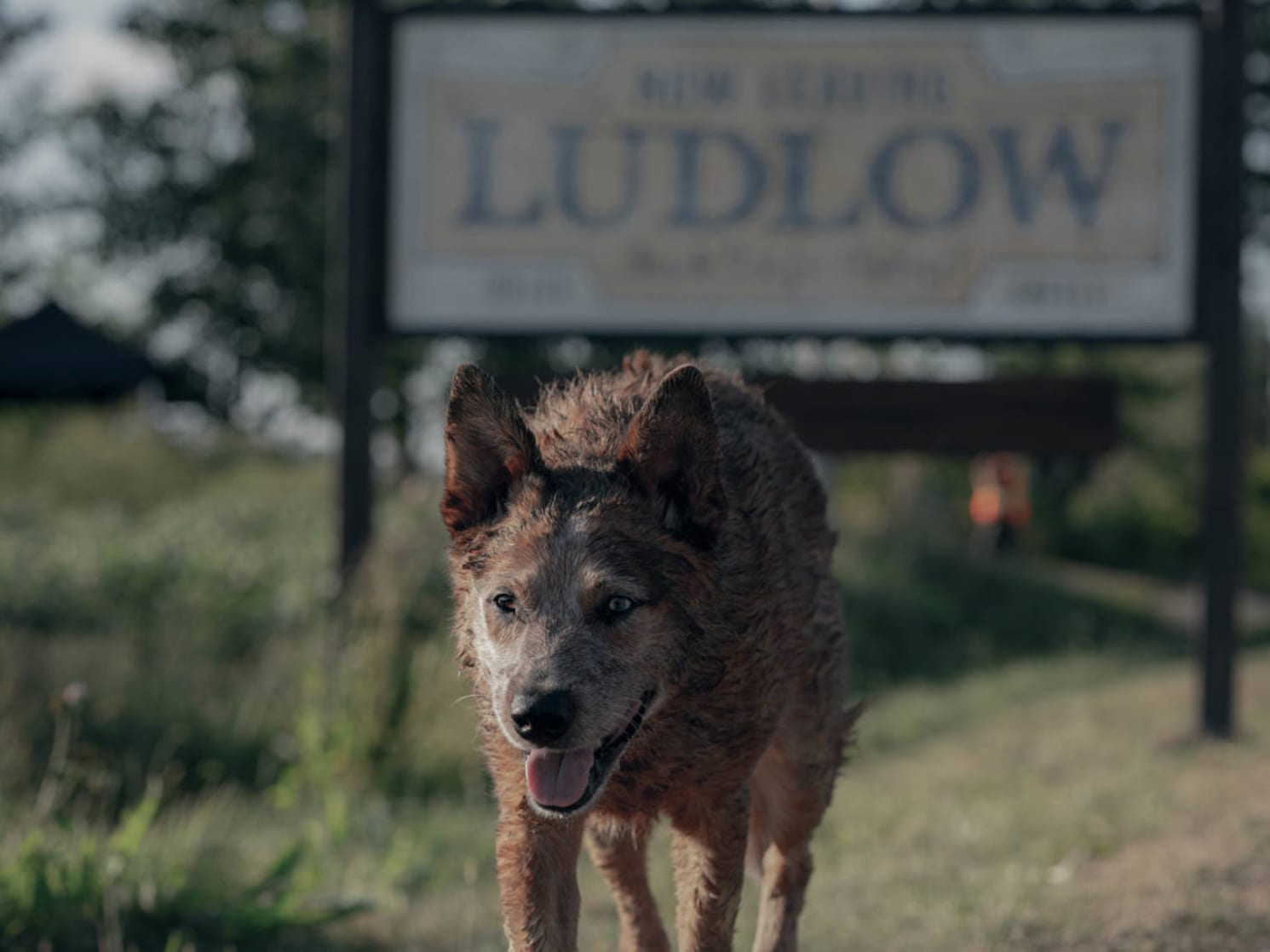 Pet Sematary: Bloodlines Pet Sematary: Bloodlines