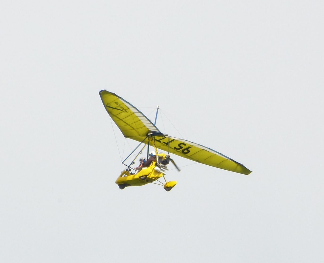 Merlin