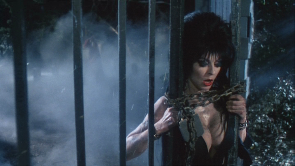 Elvira: Mistress of the Dark