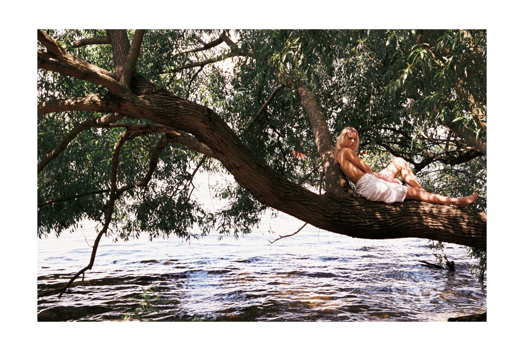 ariel van heerden