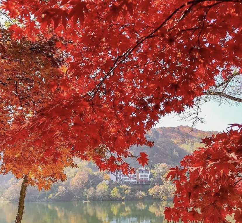 South Korea South Korea