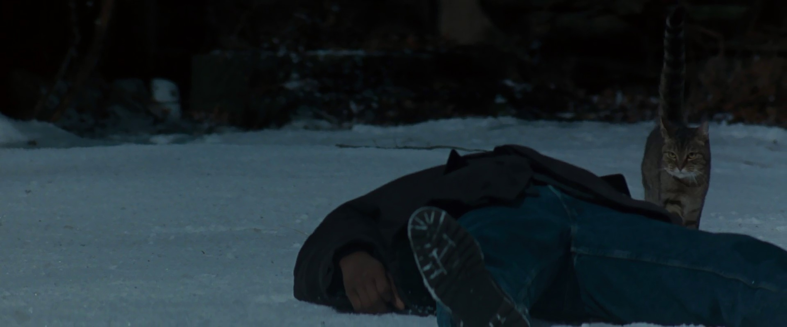 Fallen Fallen